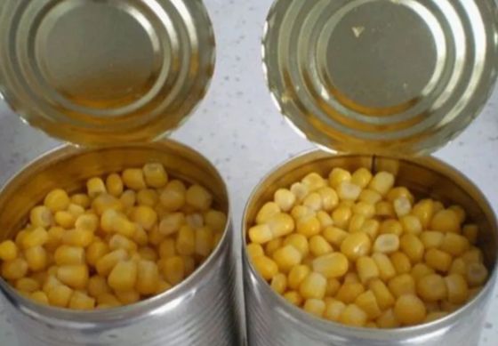 Top Grade Canned Sweet Corn in Water with Fresh Yellow Color