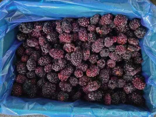 IQF Frozen Fresh Blackberry Frozen Fruit Whole 10kgx1/carton 1kg*10/carton pallet tote HACCP/ISO/KOSHER/BRC