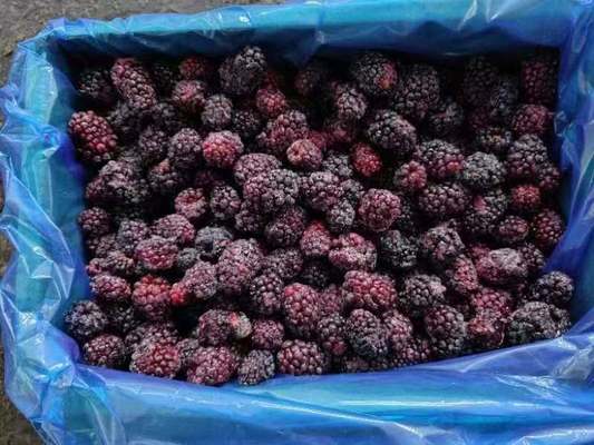 IQF Frozen Fresh Blackberry Frozen Fruit Whole 10kgx1/carton 1kg*10/carton pallet tote HACCP/ISO/KOSHER/BRC