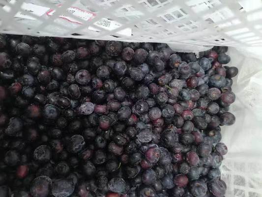 Hot Selling Frozen Fruits IQF Blueberry 10kg Frozen Blueberry in Bulk