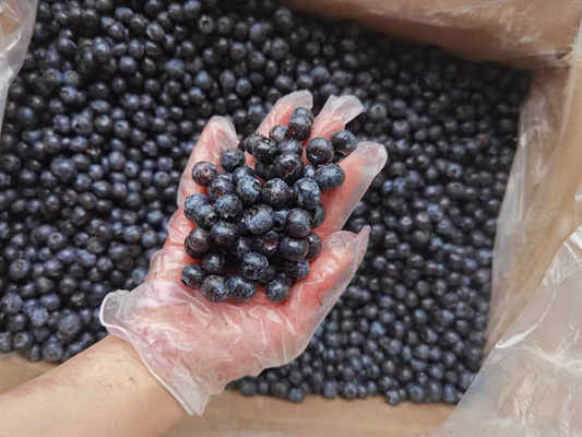 IQF Frozen Whole Blueberries Premium Baking and Smoothie Toppings Intensely