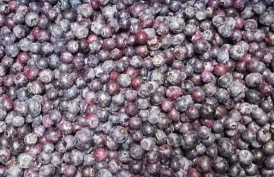 IQF Frozen Whole Blueberries Premium Baking and Smoothie Toppings Intensely