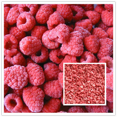 Manufacturer Factory Price IQF High Quality Fresh Food Frozen Raspberry Serbia for Export