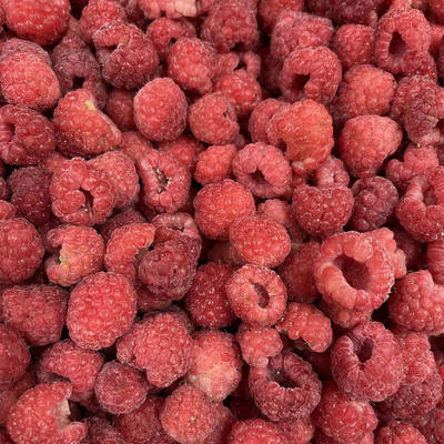Manufacturer Factory Price IQF High Quality Fresh Food Frozen Raspberry Serbia for Export