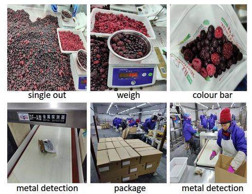 Factory Price Wholesale Hot Sale Quality Faster Delivery Cheapest Frozen Berries Australia in Bulk