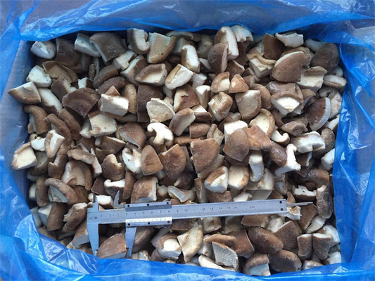 Origin China Hot Selling Iqf Food Mushroom Cultivation Shiitake Mushroom for Frozen Shiitake