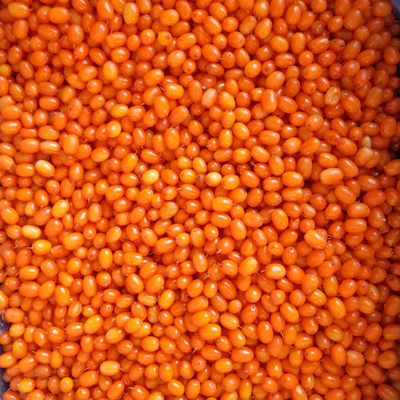 Origin China IQF Fresh Frozen Wild Sea Buckthorn First Class Sea-buckthorn Lingonberry Raspberry, Blueberry Mixed Berries