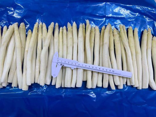 Wholesale IQF Vegetable IQF Frozen White Asparagus Spear From China