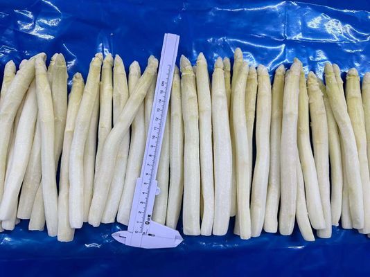 Wholesale IQF Vegetable IQF Frozen White Asparagus Spear From China