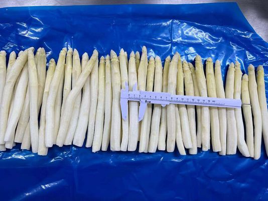 Wholesale IQF Vegetable IQF Frozen White Asparagus Spear From China