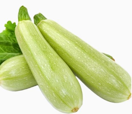Frozen Vegetable for Your Food Business Perfect for Your Food Service Needs zucchini