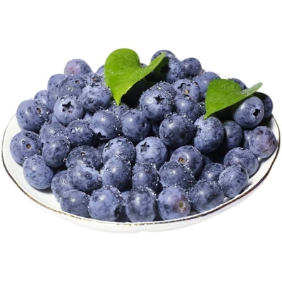 IQF Frozen Blueberries in Bulk Good Prices for Wholesale