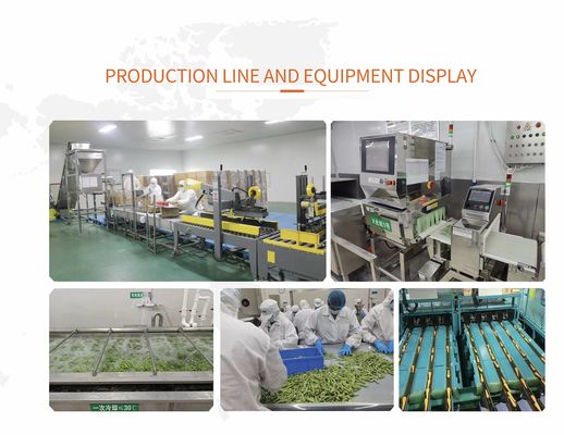 Wholesale Bulk Packed Frozen Pumpkin Diced Iqf Pumpkin Chunks Frozen Vegetables