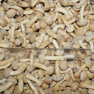 Fruits Frozen Mushroom IQF Frozen Nameko