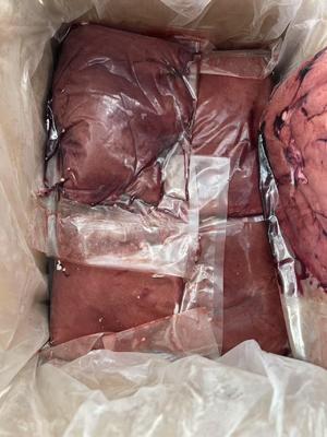 Prix bon marché de haute qualité faible en gras propre HALAL approuvé foie d'agneau congelé