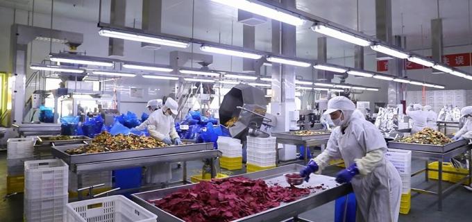 Framboises congel&eacute;es en vrac de haute qualit&eacute; Framboises congel&eacute;es en vrac Emballage de fruits 9