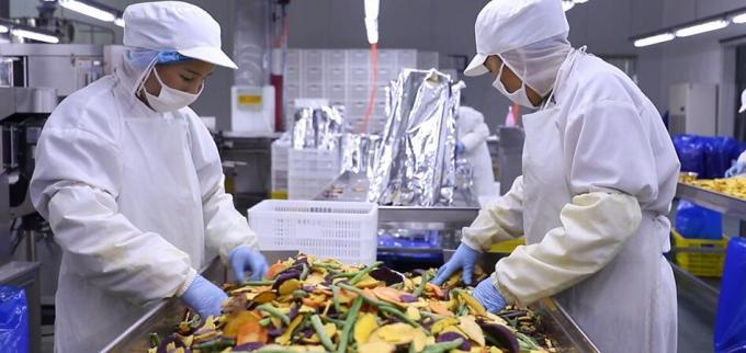 Framboises congel&eacute;es en vrac de haute qualit&eacute; Framboises congel&eacute;es en vrac Emballage de fruits 10
