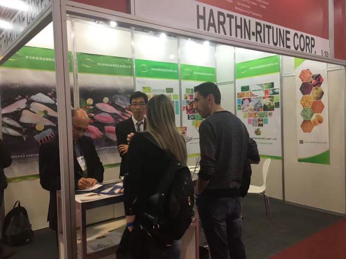 Framboises congel&eacute;es en vrac de haute qualit&eacute; Framboises congel&eacute;es en vrac Emballage de fruits 19