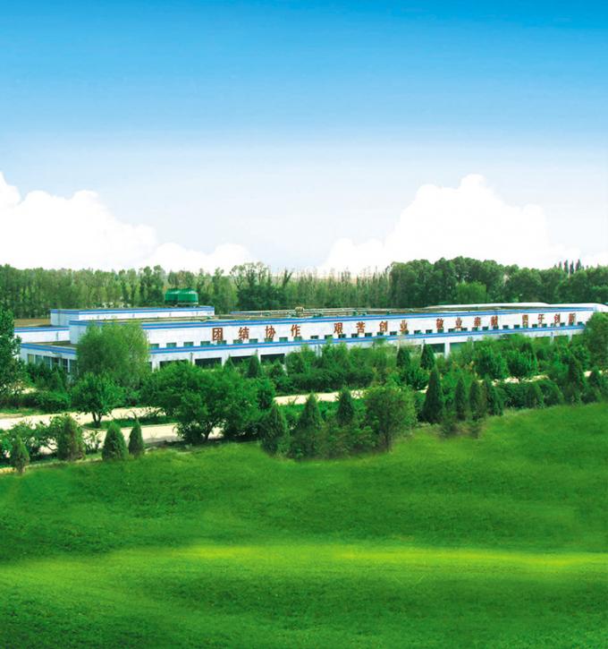 Produit Sinocharm 4 &eacute;toiles BRC-A P&ecirc;che jaune fra&icirc;che 10x10 mm Fruits congel&eacute;s en tranches 8