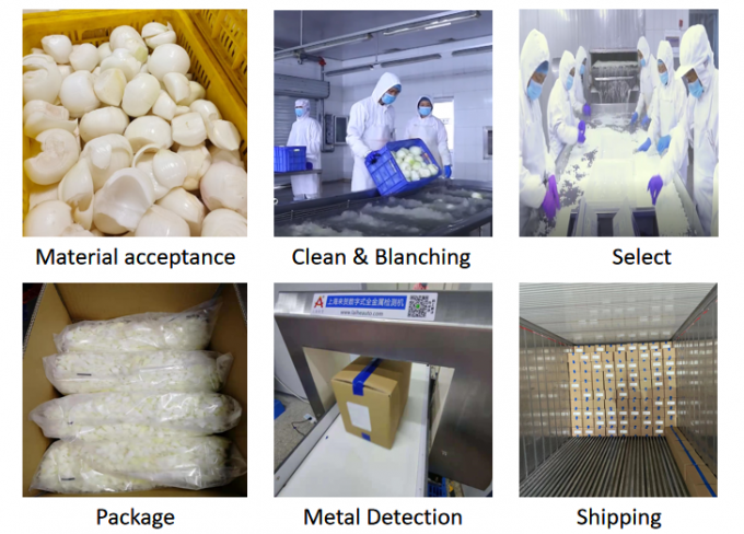 Gros en vrac certifi&eacute; BRC IQF Oignons surgel&eacute;s en d&eacute;s Oignons blancs 0