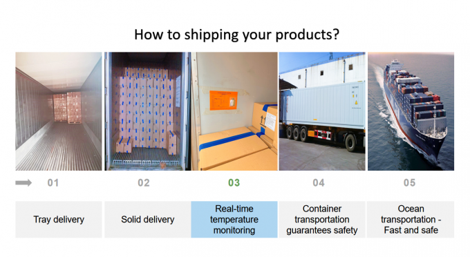 Banane Iqf congel&eacute;e de Chine Produit chaud tranch&eacute; pour l'exportation de haute qualit&eacute; 2