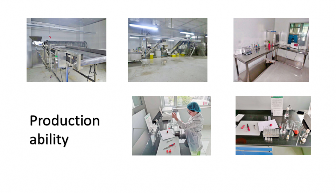 Fournitures chinoises de meilleure qualit&eacute; bon prix Iqf l&eacute;gumes surgel&eacute;s Okra Gumbo entier 7