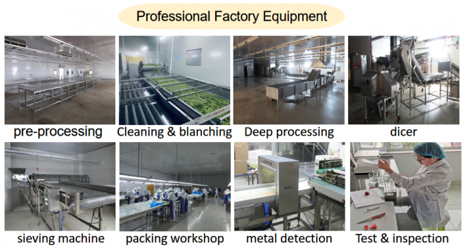 Fabricant Prix d'usine IQF Aliments frais de haute qualit&eacute; Framboises surgel&eacute;es Serbie &agrave; l'exportation 6