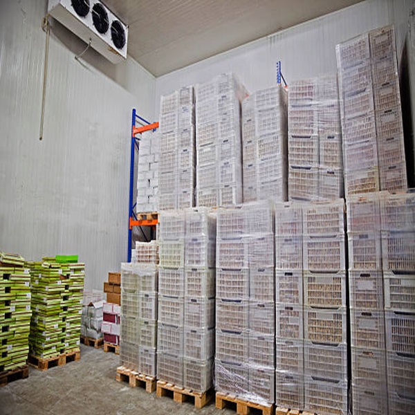 Prix bon march&eacute; de haute qualit&eacute; faible en gras propre HALAL approuv&eacute; foie d'agneau congel&eacute; 3