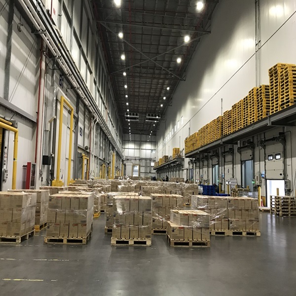 Prix bon march&eacute; de haute qualit&eacute; faible en gras propre HALAL approuv&eacute; foie d'agneau congel&eacute; 1