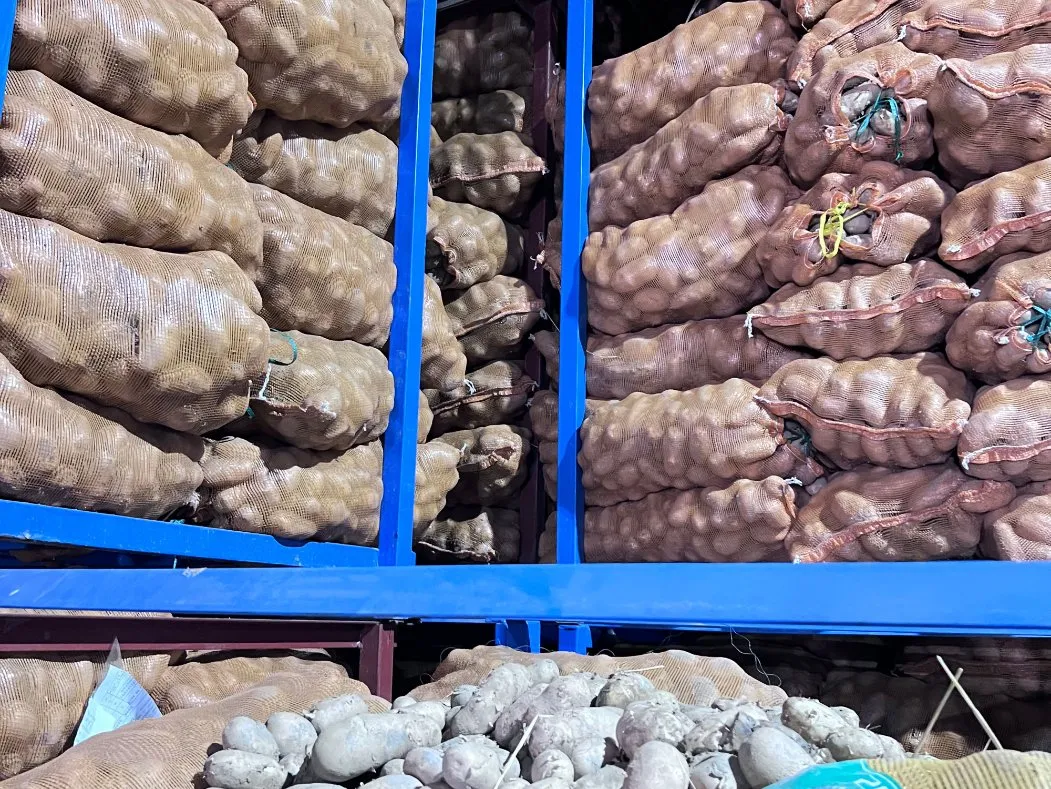 Chargement et livraison rapide de frites surgelées coupées droites 0