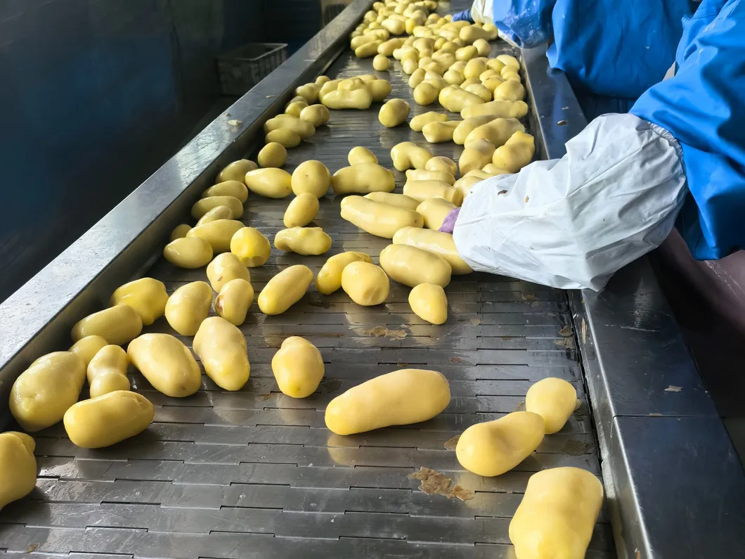 Chargement et livraison rapide de frites surgelées coupées droites 1