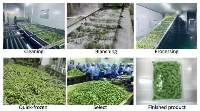 Produits biologiques en vrac &agrave; haute teneur en prot&eacute;ines, l&eacute;gumes surgel&eacute;s pr&ecirc;ts &agrave; cuire 4