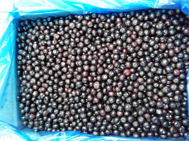 Myrtilles enti&egrave;res surgel&eacute;es IQF Premium pour p&acirc;tisserie et garnitures de smoothies Intensement 2