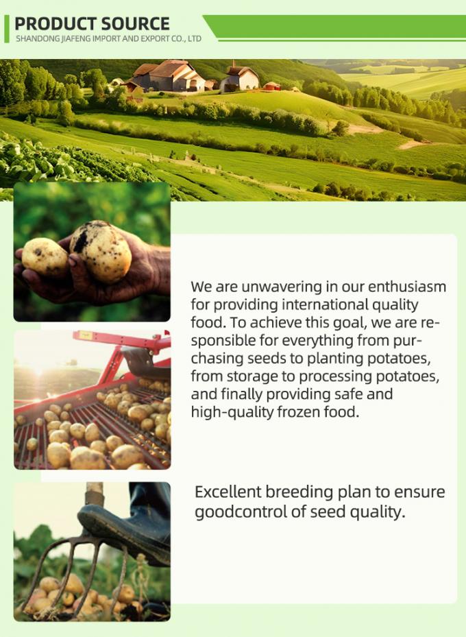 Frites congel&eacute;es automatiques Frites congel&eacute;es biologiques IQF Frites &agrave; la pomme de terre en vrac Emballage 10 kg Mat&eacute;riau frais 1