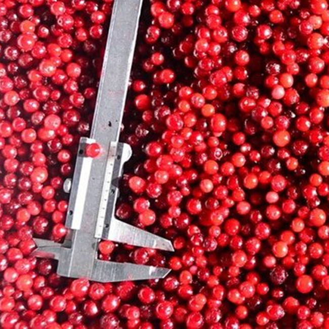 OEM/ODM Vente &agrave; chaud &eacute;conomique en vrac IQF Lingonberry surgel&eacute; 0