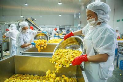 IQF Biologique Jaune P&ecirc;che &agrave; moiti&eacute; Fruits surgel&eacute;s Go&ucirc;t sucr&eacute; en vrac Emball&eacute; P&acirc;tes d'eau conserv&eacute;es Cube entiers Dose &agrave; moiti&eacute; Disponible 8