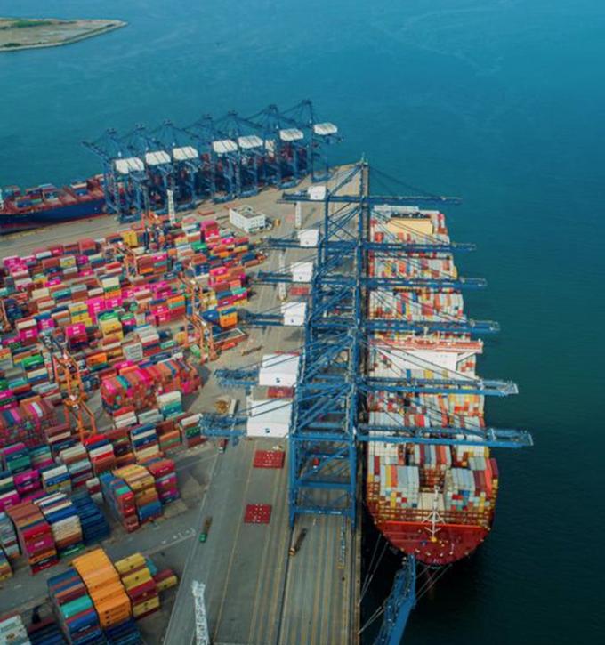 IQF Biologique Jaune P&ecirc;che &agrave; moiti&eacute; Fruits surgel&eacute;s Go&ucirc;t sucr&eacute; en vrac Emball&eacute; P&acirc;tes d'eau conserv&eacute;es Cube entiers Dose &agrave; moiti&eacute; Disponible 13