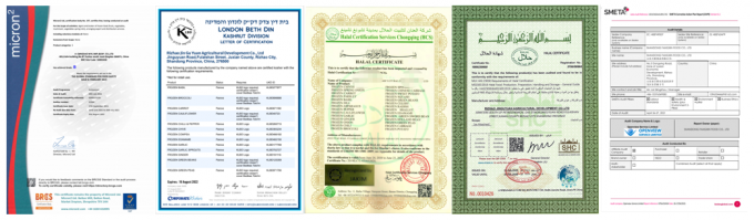 En gros de l'&eacute;pine de mer biologique des baies d'&eacute;pine de mer congel&eacute;es 5