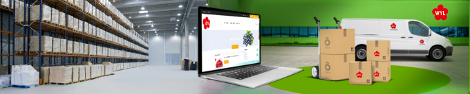 Qualit&eacute; &eacute;lev&eacute;e IQF Abricot congel&eacute; &agrave; moiti&eacute; Ventes chaudes en gros et en d&eacute;tail Prix d'usine Conservation de l'eau Emballage en vrac 1