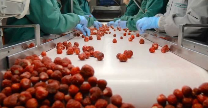 Qualit&eacute; &eacute;lev&eacute;e IQF Abricot congel&eacute; &agrave; moiti&eacute; Ventes chaudes en gros et en d&eacute;tail Prix d'usine Conservation de l'eau Emballage en vrac 3