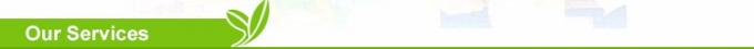 Produit biologique IQF Frozen Yellow Sweet Bell Pepper Strips Coupe de dés en tranches Cubes de dés congelés 7