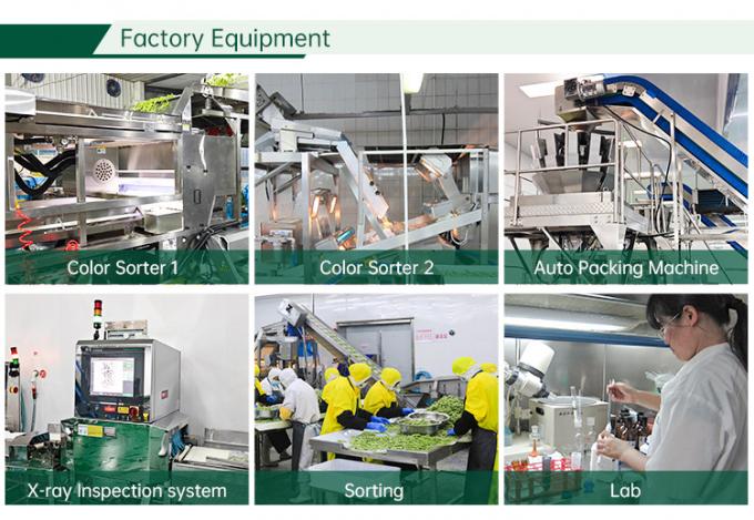 Fabrique de l&eacute;gumes surgel&eacute;s certifi&eacute;s HALAL IQF Tomates en tranches 10 mm Tomates surgel&eacute;es en tranches en Chine 2