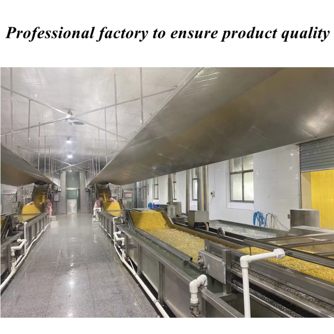 Ma&iuml;s doux surgel&eacute; de haute qualit&eacute; &agrave; prix comp&eacute;titif, grains de ma&iuml;s doux biologiques, non-OGM, emballage en vrac 1