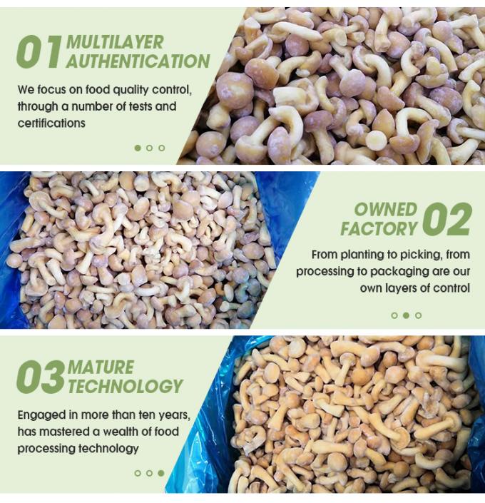 Champignons sauvages cultiv&eacute;s biologiques sains naturels nutritifs frais entiers surgel&eacute;s Champignon IQF Nameko surgel&eacute; 3