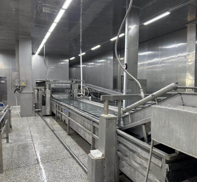 IQF Quatre l&eacute;gumes surgel&eacute;s pois vert et grains de ma&iuml;s sucr&eacute;s carottes et haricots verts 9