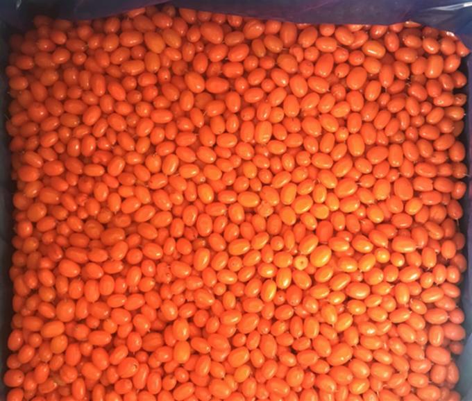 Origine Chine IQF Surgel&eacute; Frais &Eacute;glantier Sauvage de Mer Argousier Airelle Canneberge Framboise, Myrtille M&eacute;lange de Baies 0