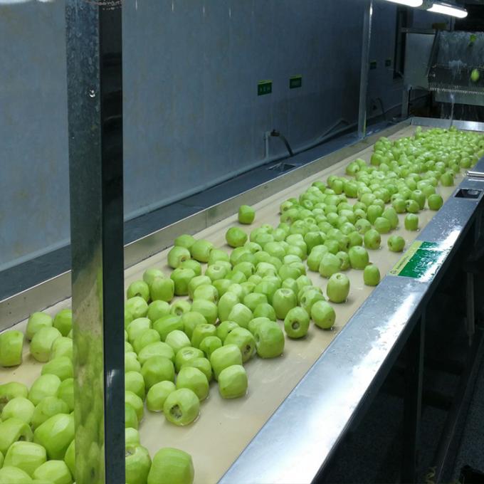 Kiwi Fruits Fruits congel&eacute;s Kiwi boules congel&eacute;es Qualit&eacute; naturelle 5