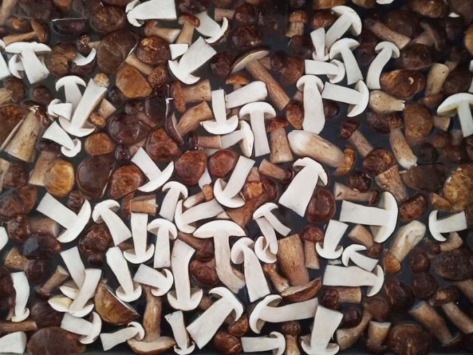 Champignons surgel&eacute;s IQF BOLETUS EDULIS Grade A  Dur&eacute;e de conservation 24 mois ISO HACCP BRC KOSHER HALAL Certifi&eacute; 10 tonnes MOQ 0