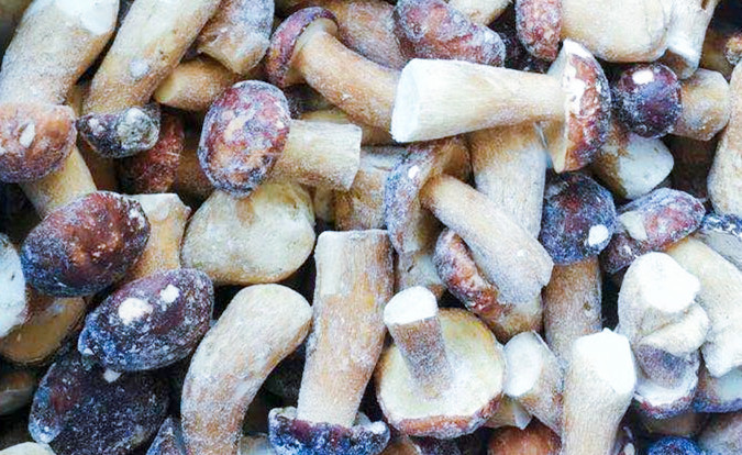 Champignons surgel&eacute;s IQF BOLETUS EDULIS Grade A  Dur&eacute;e de conservation 24 mois ISO HACCP BRC KOSHER HALAL Certifi&eacute; 10 tonnes MOQ 2