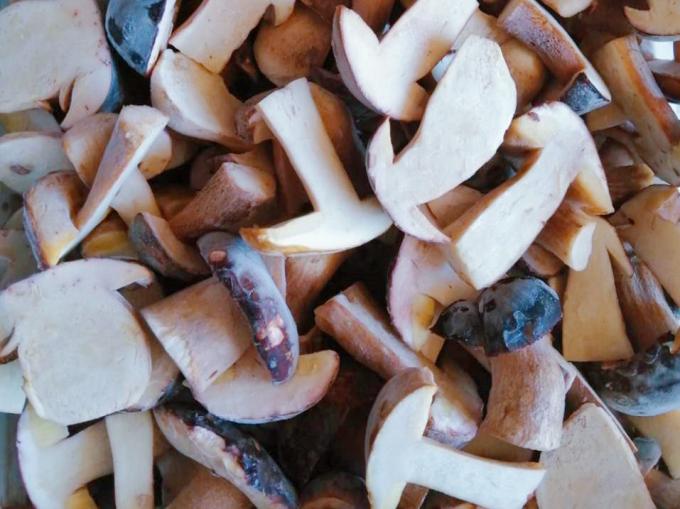 Champignons surgel&eacute;s IQF BOLETUS EDULIS Grade A  Dur&eacute;e de conservation 24 mois ISO HACCP BRC KOSHER HALAL Certifi&eacute; 10 tonnes MOQ 1